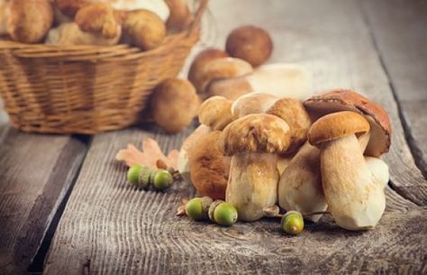 Champignons
